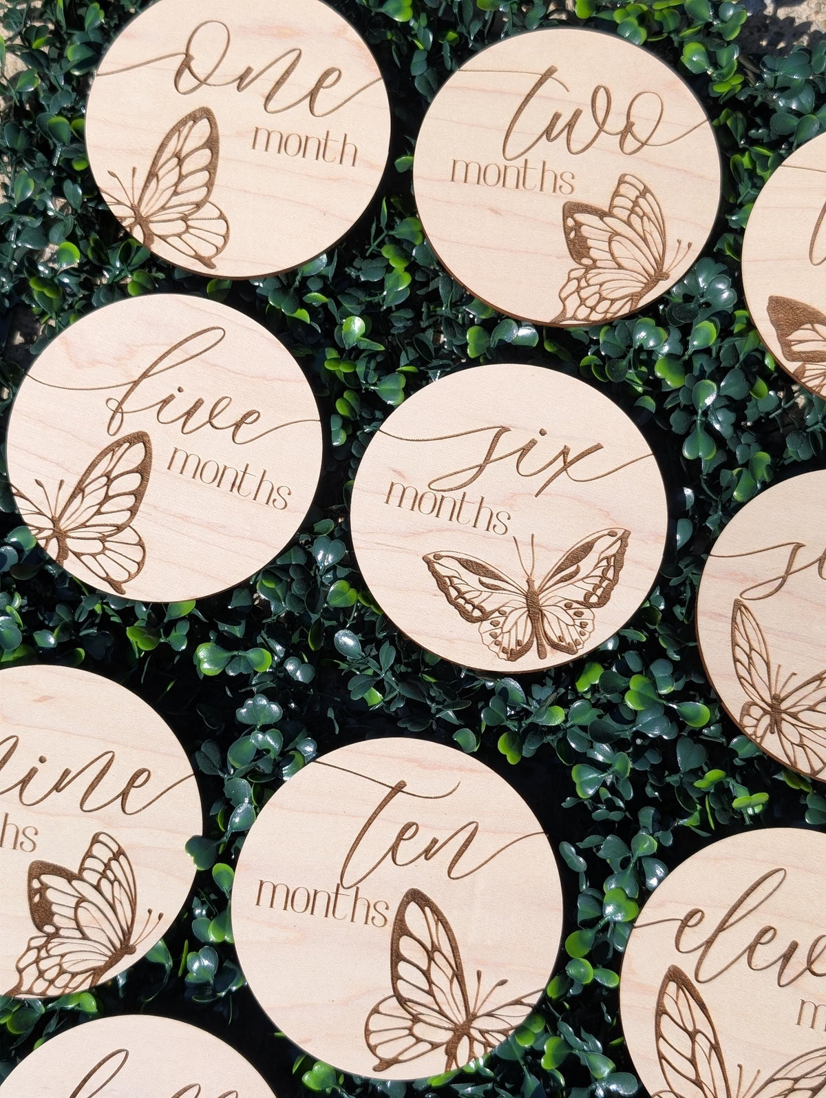 Personalized butterfly baby milestone markers for monthly first-year photos