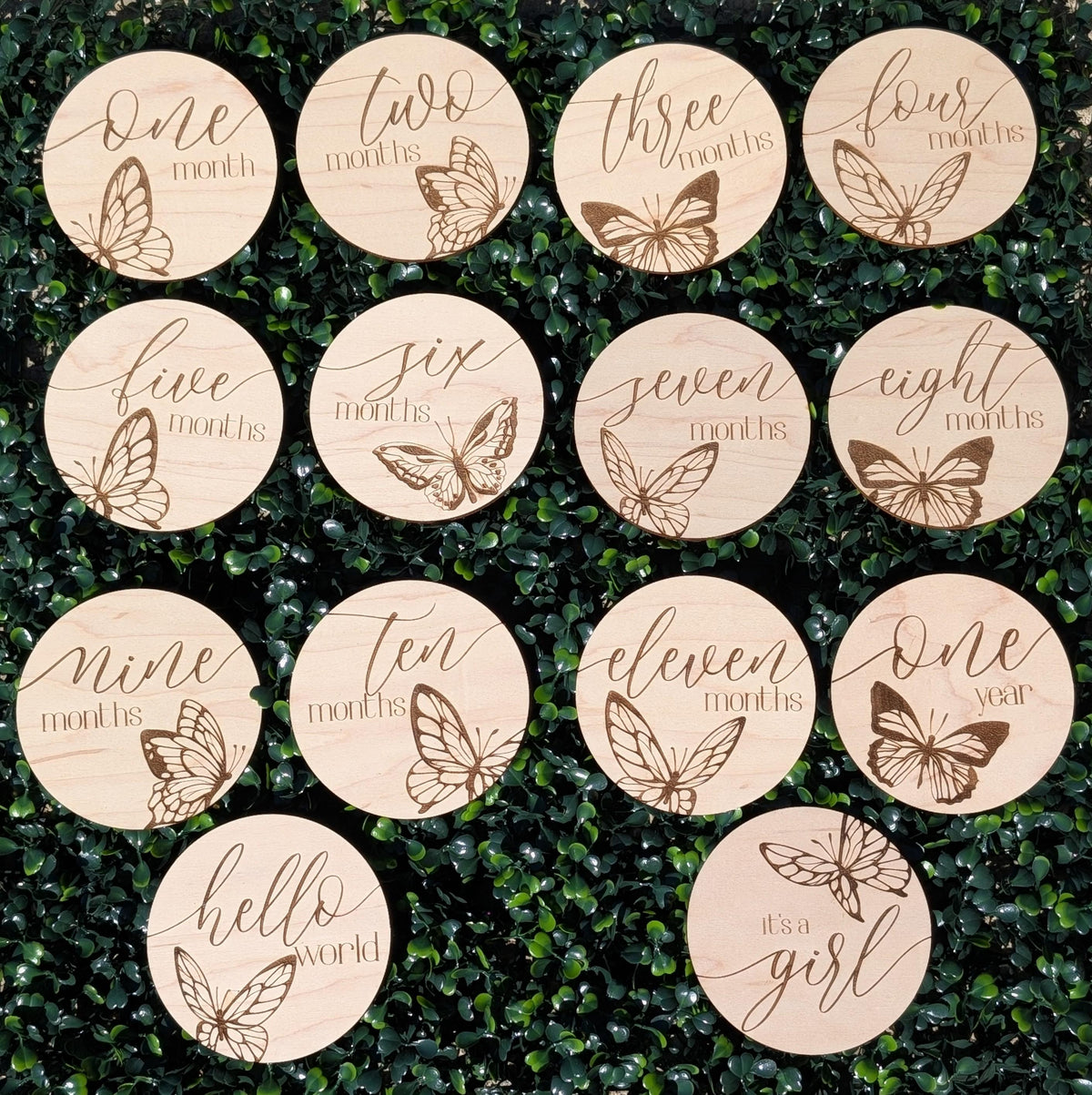 Personalized butterfly baby milestone markers for monthly first-year photos