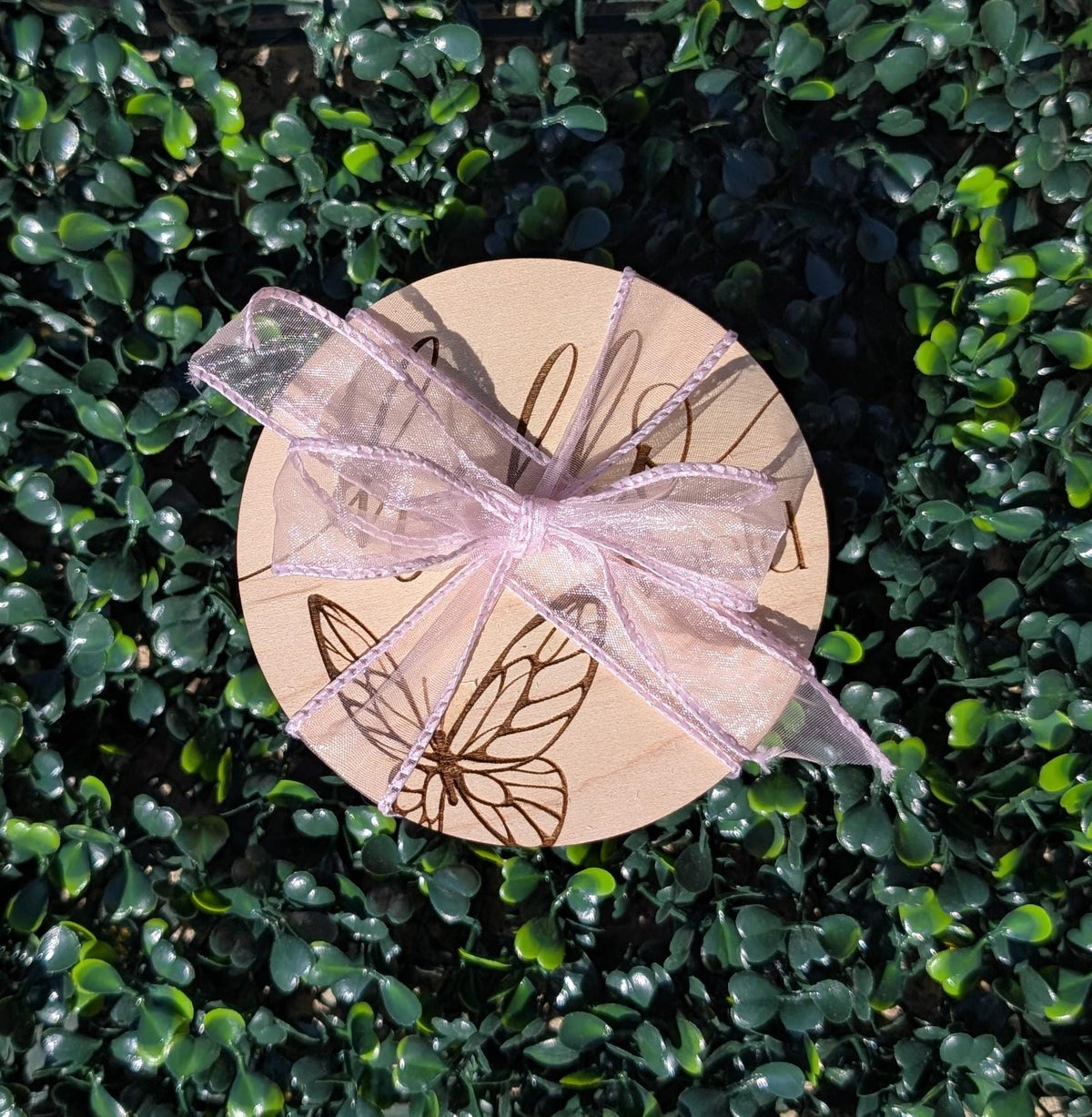 Personalized butterfly baby milestone markers for monthly first-year photos
